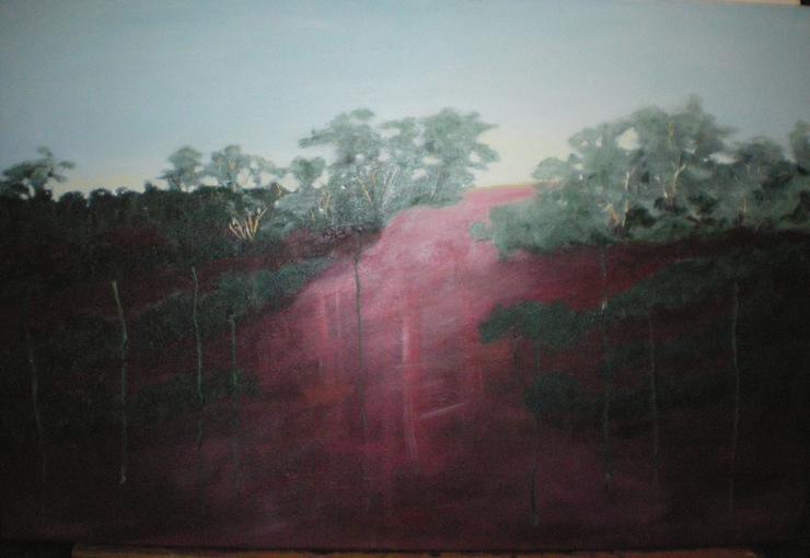 Nullarbor Dream - Weeping Bush